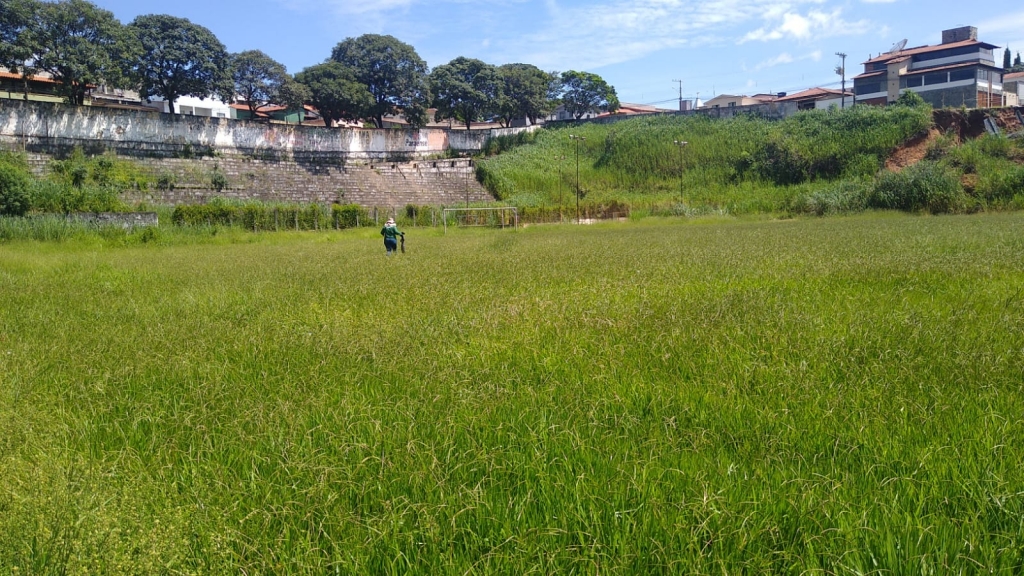 Foi uma festa surpresa', diz responsável por sítio com centenas de  banhistas em BH, Minas Gerais