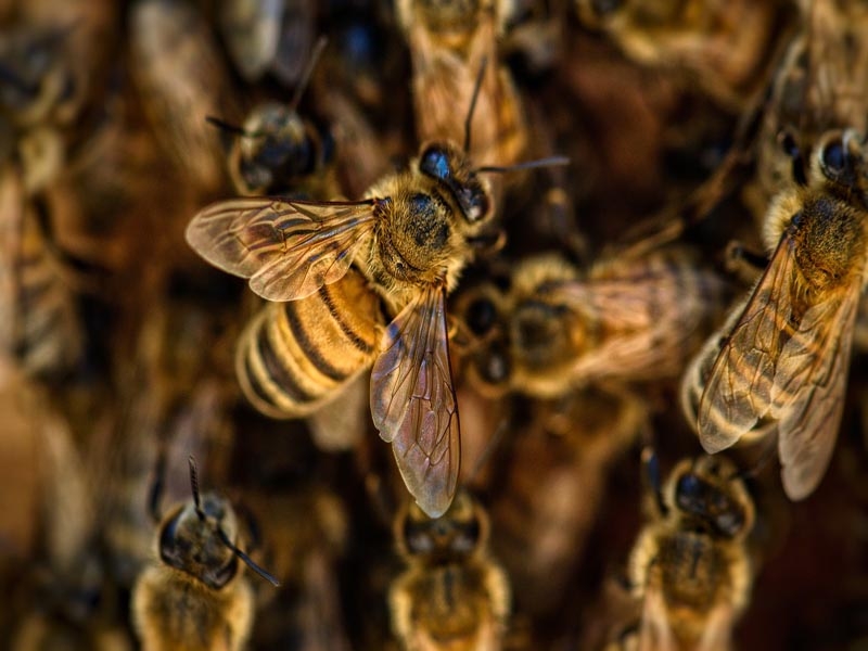 Especialistas alertam para opções oferecidas pelo Sisu - Nacional - Estado  de Minas