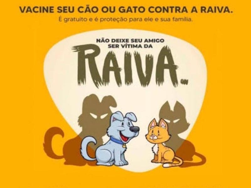 Caiu no : gato empurra filhote de escada