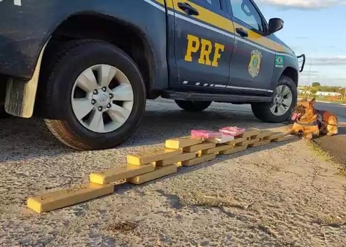 Segundo PRF, acidentes na BR 251 provocam uma morte por semana - Trucão  Comunicação em Transporte