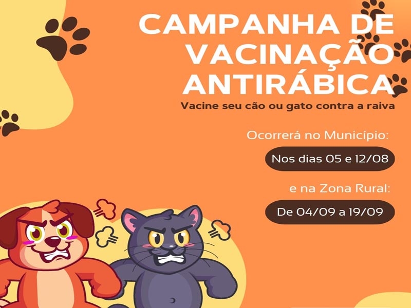 O jogo virou? Gato lidera preferência de brasileiros pelo terceiro ano  consecutivo; confira números