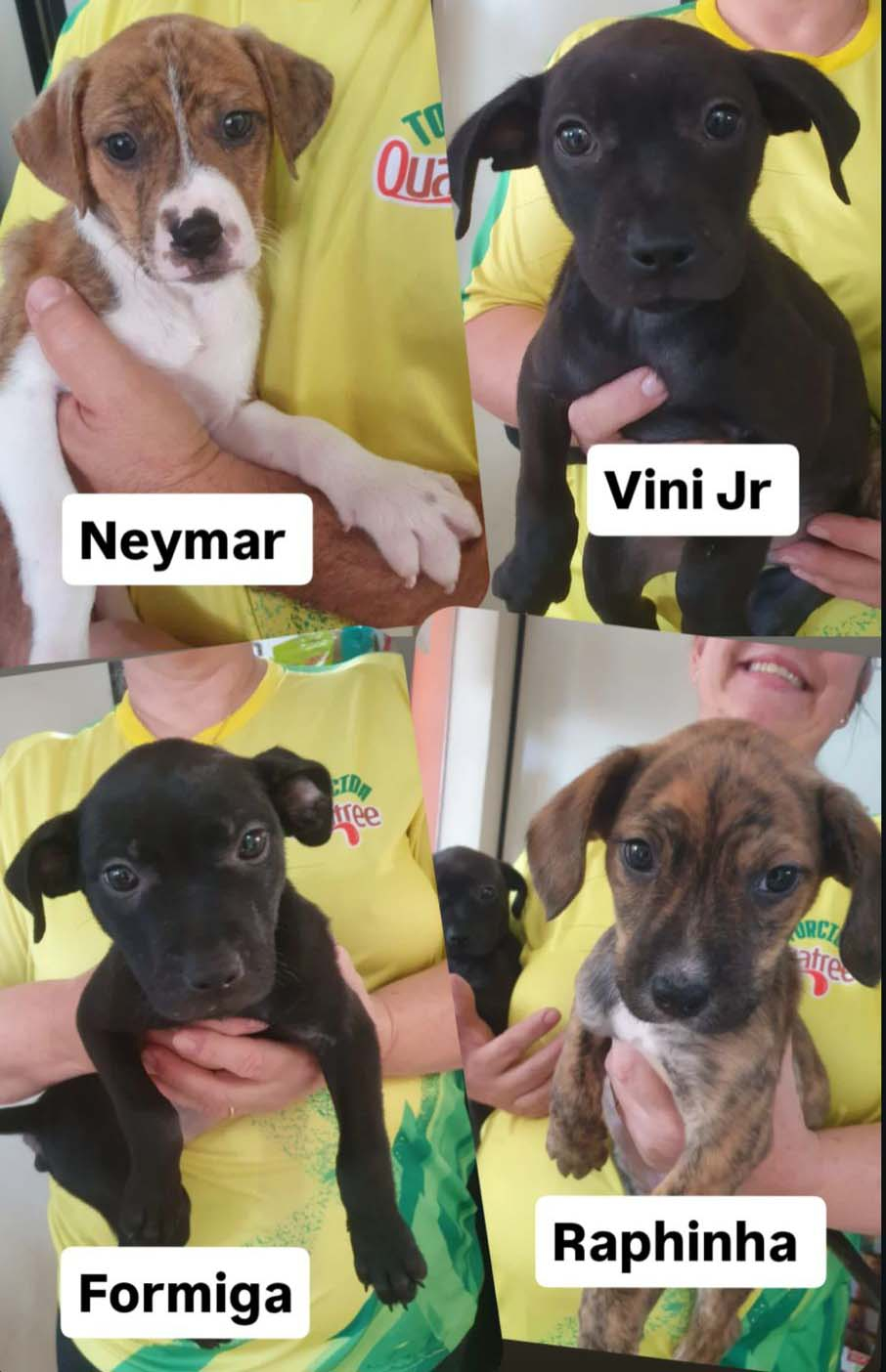 Foto capa