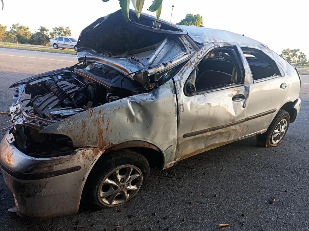 Após ultrapassagem, carro bate contra cavalo e mata passageira em