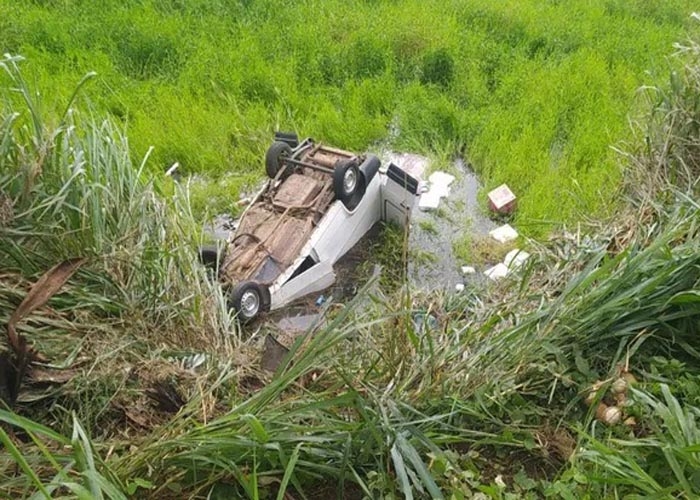 Vídeo] Moradores fazem apelo para Zoonoses recolher cavalo morto