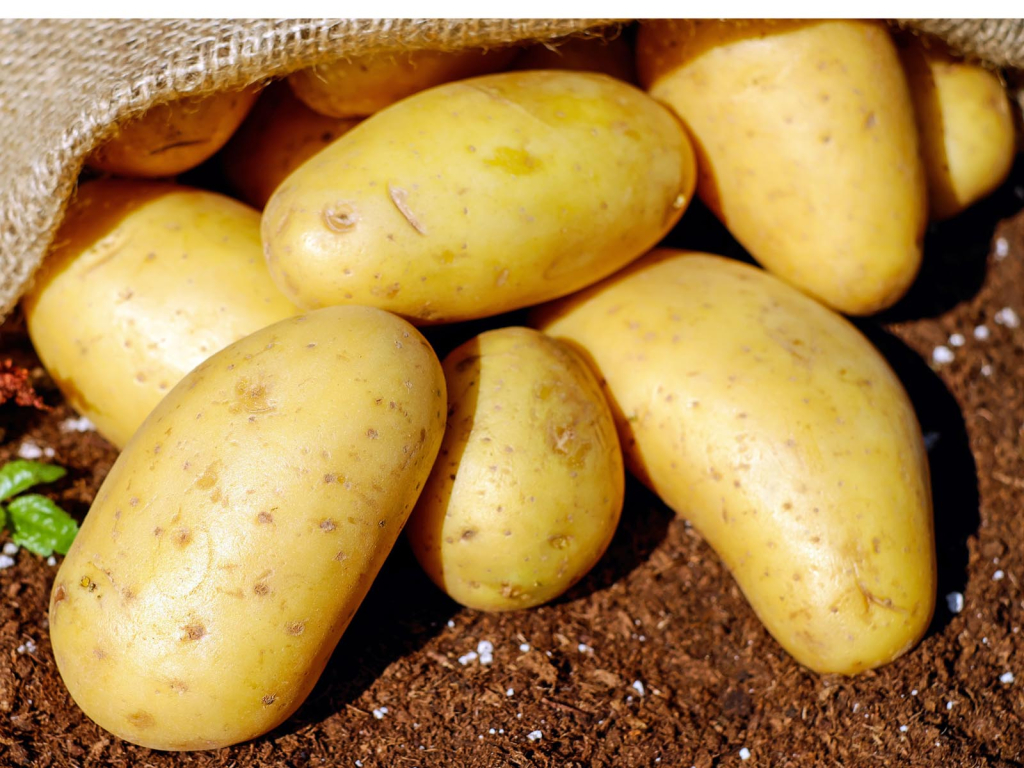 Foto capa