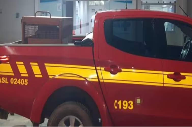 Jogo interativo infantil de bombeiros, caminhão caçamba, carro de