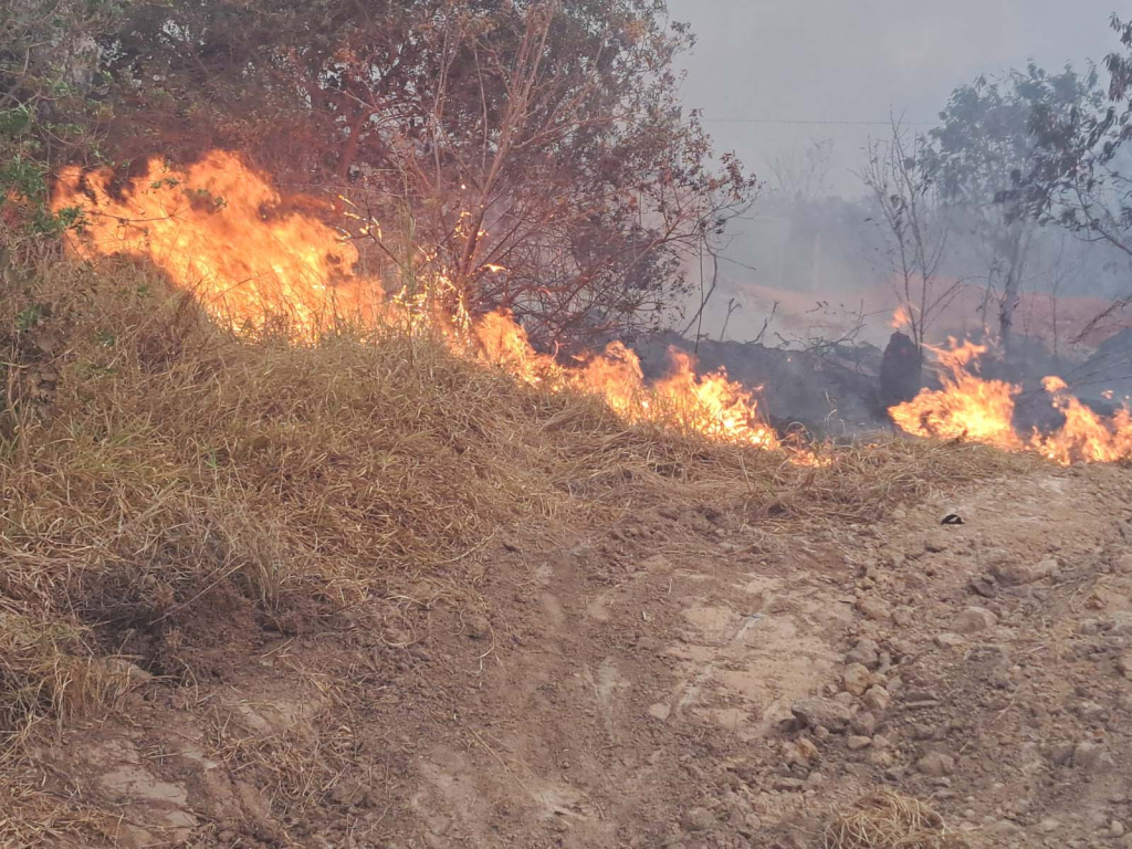 Foto capa