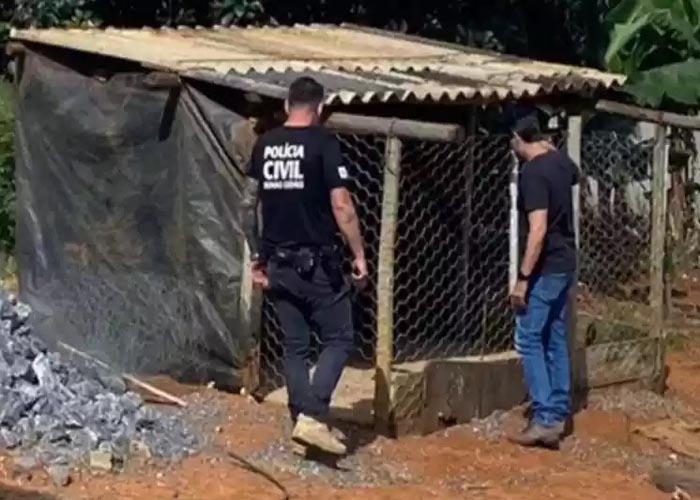 Animais afetados pelo desastre em Brumadinho ganham ensaio de Natal -  Gerais - Estado de Minas