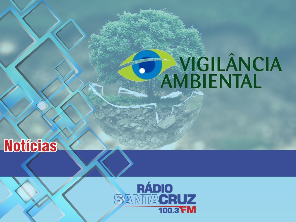 Mestre no xadrez e na superação - GAZ - Notícias de Santa Cruz do