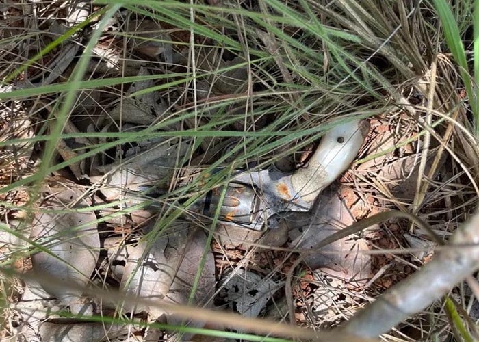 Arsenal com 25 armas e mais de 500 munições é encontrado em fazenda, Tocantins