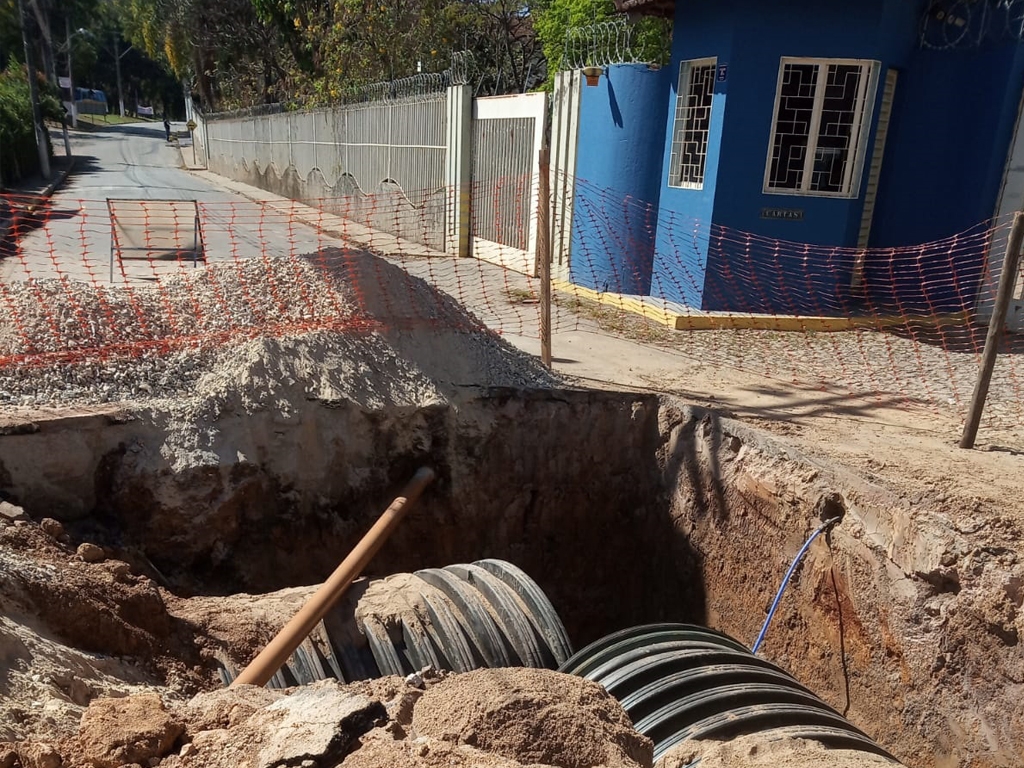 Cavalo é sacrificado em uma das principais avenidas de Nova Lima e causa  comoção em moradores, Minas Gerais