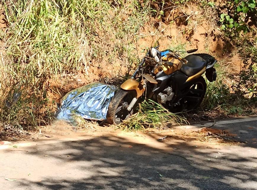 Menina de 8 anos é picada por jararaca e morre em hospital - Fátima News