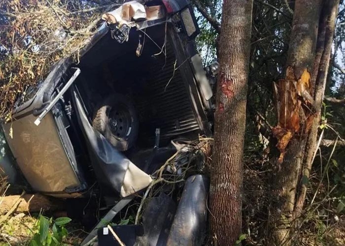 Cavalo morto em mata incomoda moradores da região Oeste de Franca