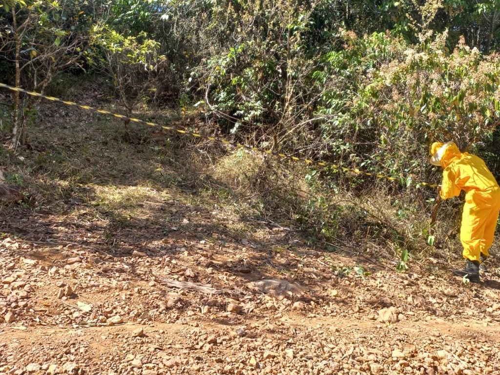 Jovem de camisa descansando em cavalo marrom após passeio