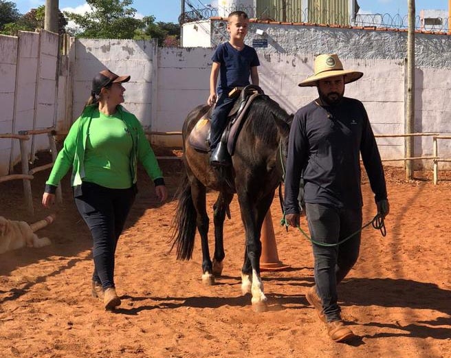 O desafio matemático do passeio do cavalo no xadrez - 28/02/2023 - Marcelo  Viana - Folha