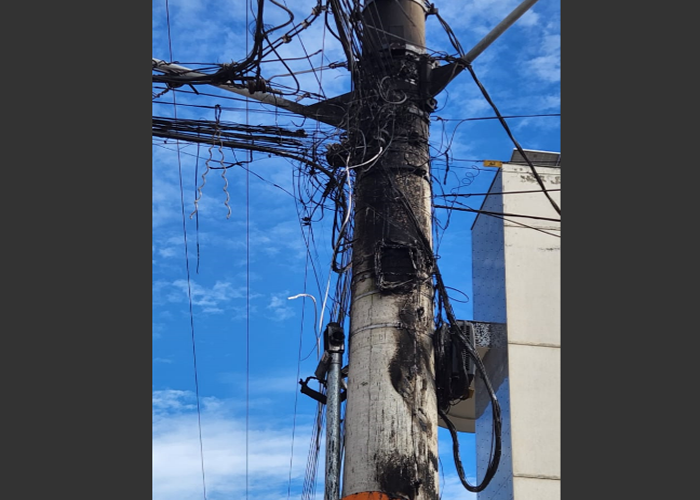 Trabalhadores descobrem 'rato gigante' durante limpeza do sistema de esgoto