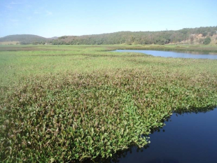 assets/uploads/imagens/thumbs/00b4e-7bf7e-lago-azul.jpg