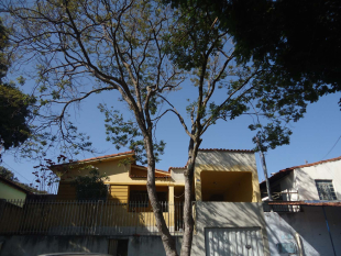 Rádio Santa Cruz - FM