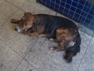 Rádio Santa Cruz - FM