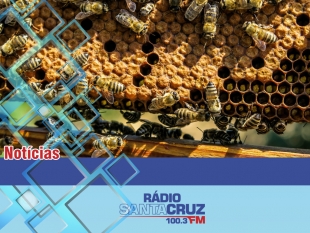 Rádio Santa Cruz - FM