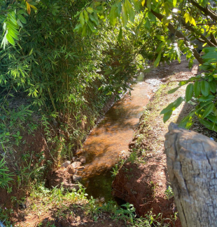 Rádio Santa Cruz - FM