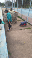 Highslide JS