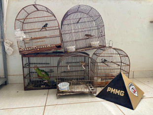 Rádio Santa Cruz - FM