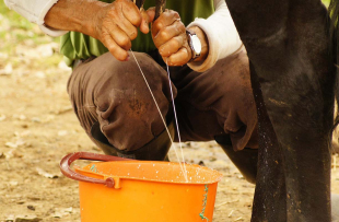 Rádio Santa Cruz - FM