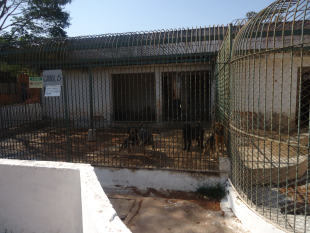 assets/uploads/imagens/thumbs/3f346-ccz-para-de-minas-2-.jpg