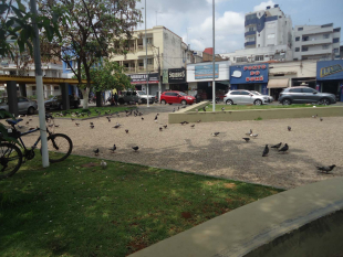 Rádio Santa Cruz - FM