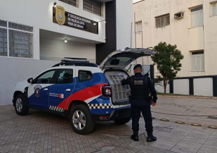 Fotocapa policial