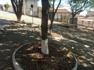 Rádio Santa Cruz - FM