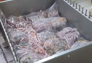 Rádio Santa Cruz - FM