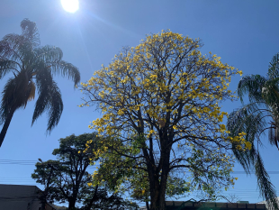 Rádio Santa Cruz - FM