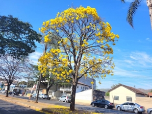 Rádio Santa Cruz - FM