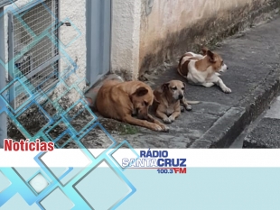 Rádio Santa Cruz - FM