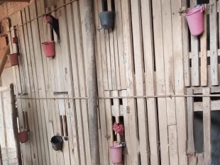 Rádio Santa Cruz - FM