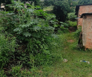 Rádio Santa Cruz - FM