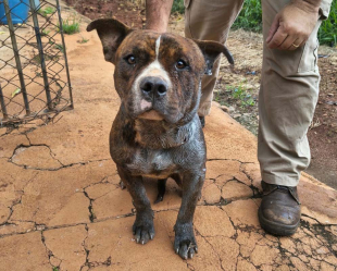 Rádio Santa Cruz - FM