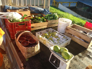 Rádio Santa Cruz - FM