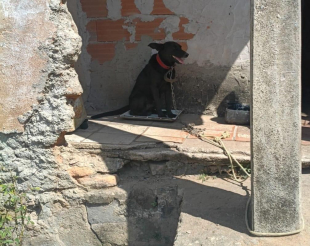 Rádio Santa Cruz - FM