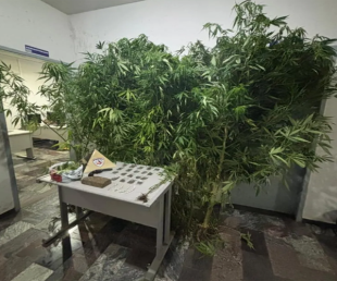 Rádio Santa Cruz - FM