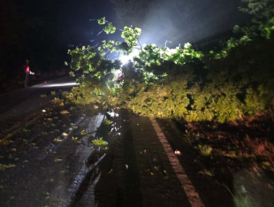 Rádio Santa Cruz - FM