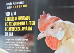 Rádio Santa Cruz - FM