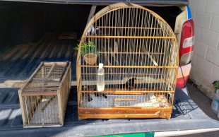 Rádio Santa Cruz - FM