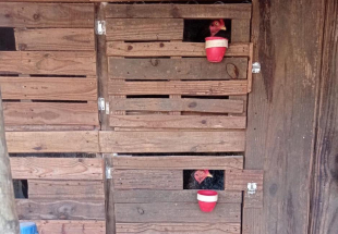 Rádio Santa Cruz - FM