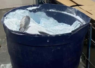 Rádio Santa Cruz - FM